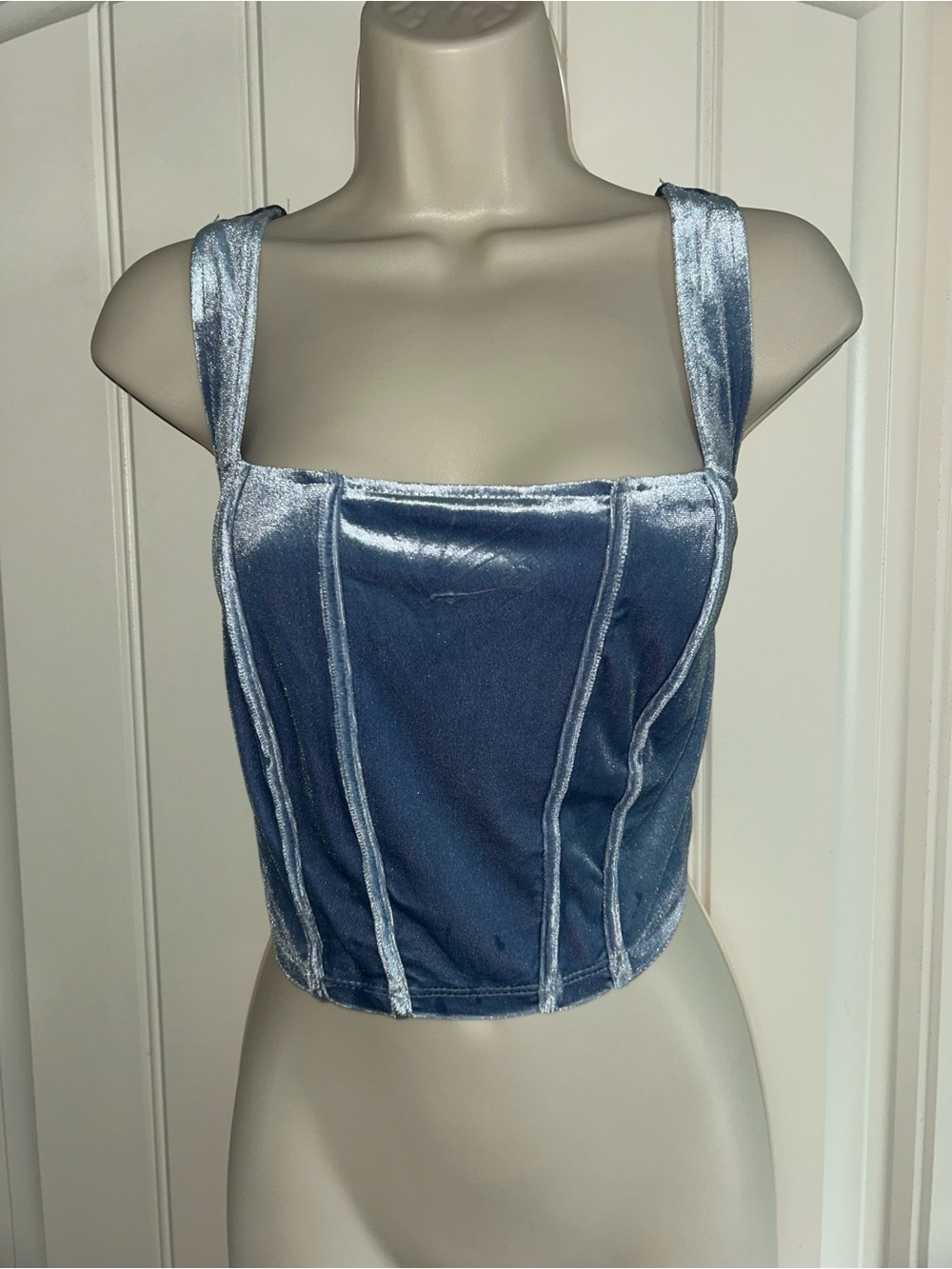 NWT Mauby Velvet Corset-Style Crop Top in Dusty Blue Sz L